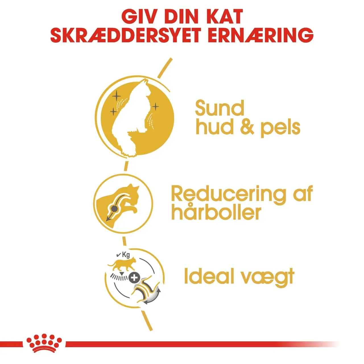 Royal Canin Norsk Skovkat 10 kg (Norwegian Forest Cat)
